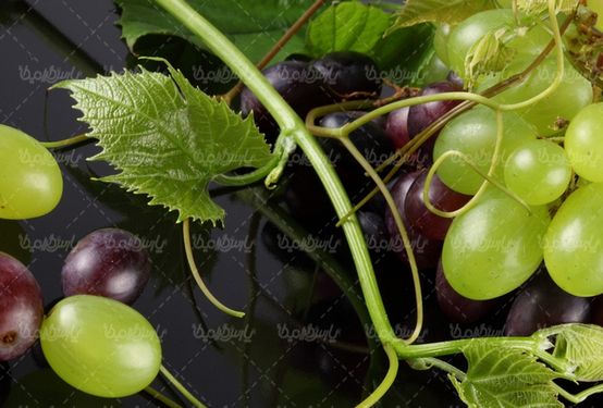 Quality photos of grapes