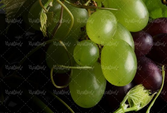 Quality photos of grapes