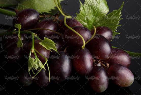 Quality photos of grapes