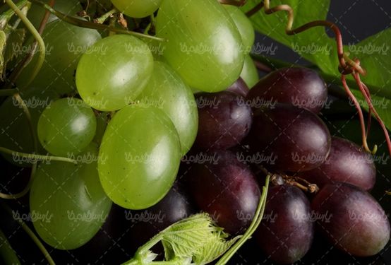 دانلود رایگان عکس انگور