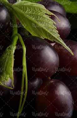 دانلود رایگان عکس انگور