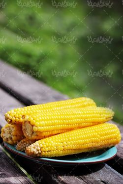 Corn