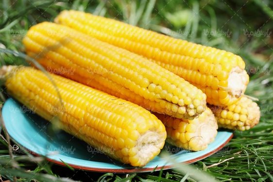 Corn