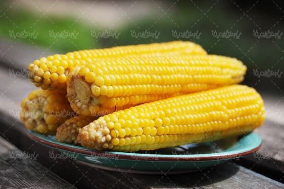 Corn