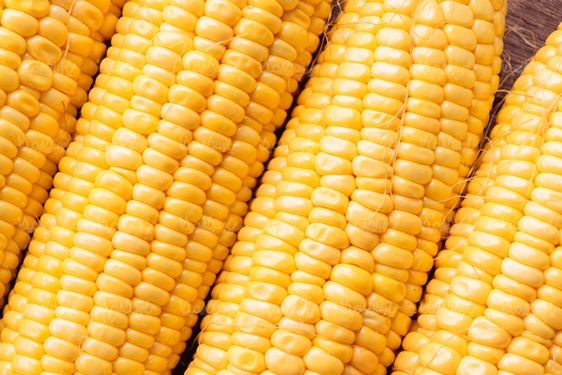 Corn