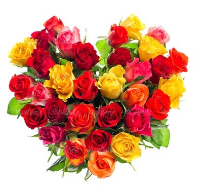bunch of flowers