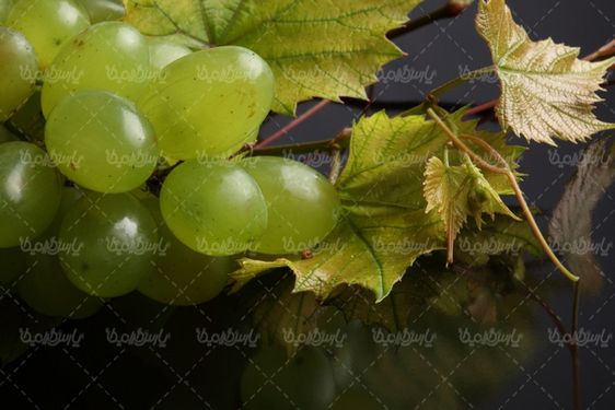 green Grapes