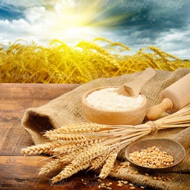 Bread