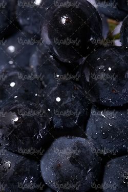 دانلود رایگان عکس انگور قرمز