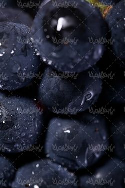 تصویر با کیفیت انگور سیاه