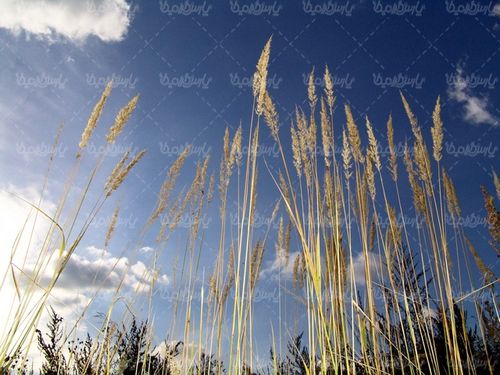 عکس با کیفیت منظره