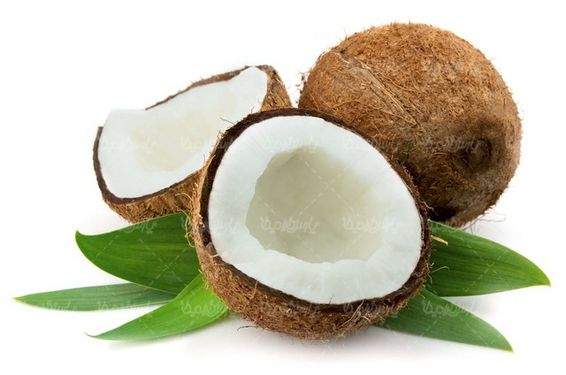 Coconut