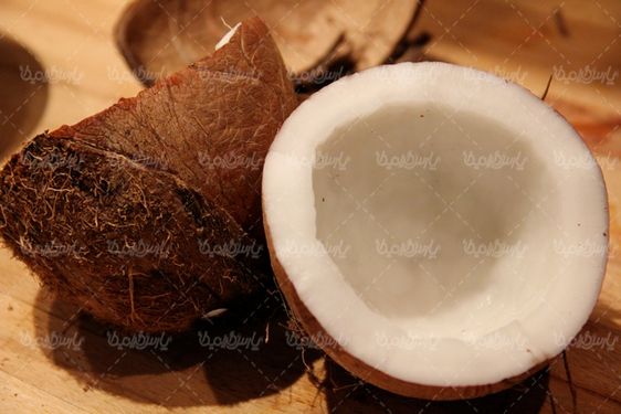 Coconut