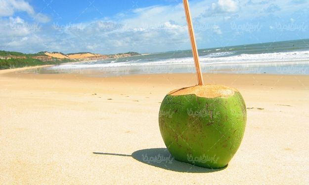 Quality photos of coconut