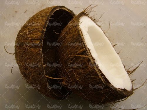 Quality photos of coconut