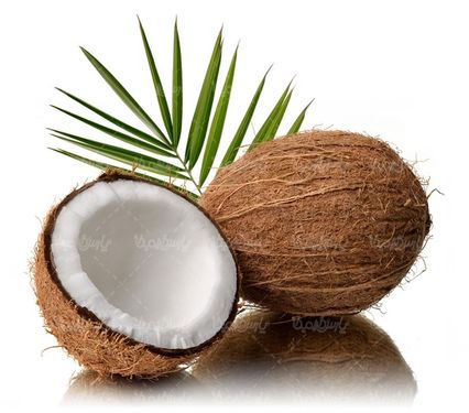 روغن نارگیل