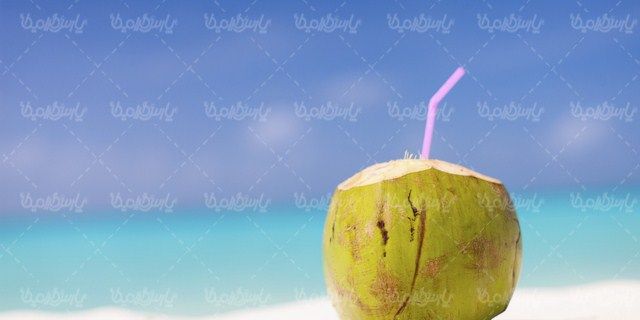 تصویر با کیفیت نارگیل