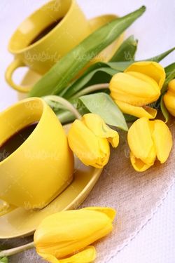 فنجان قهوه