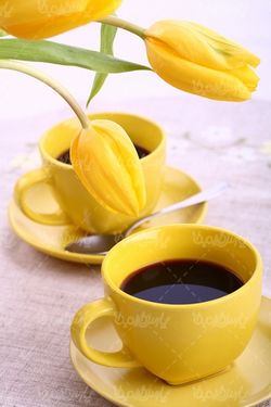 Cup of coffee