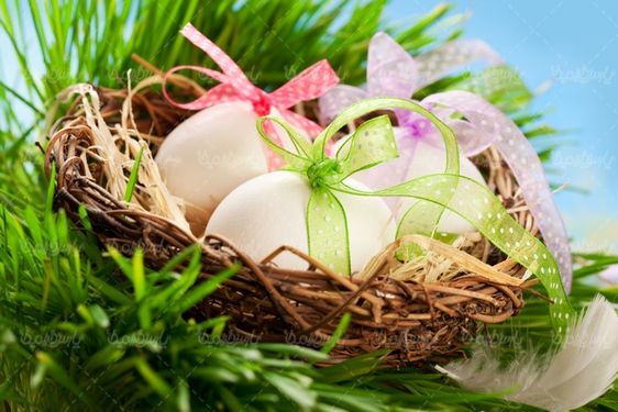 دانلود رایگان عکس تخم مرغ عید نوروز