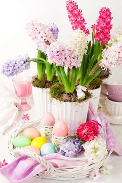 Colored eggs