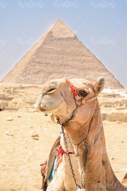 pyramids of Egypt