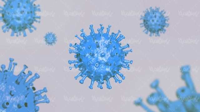 Corona virus