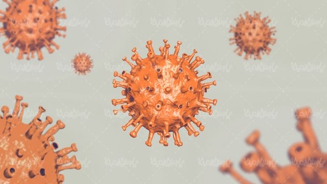 Corona virus