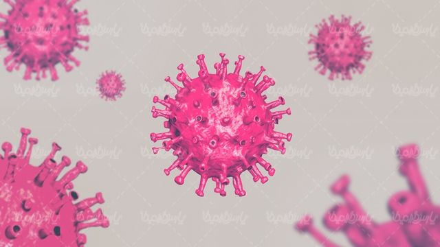 Corona virus