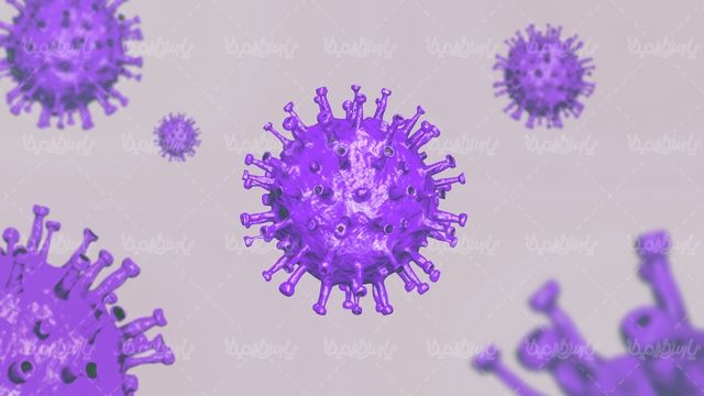Corona virus