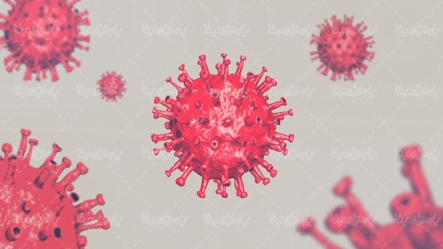 Corona virus