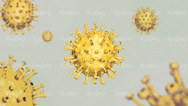 Corona virus