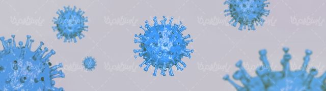 Corona virus