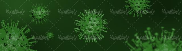 ویروس کووید 19