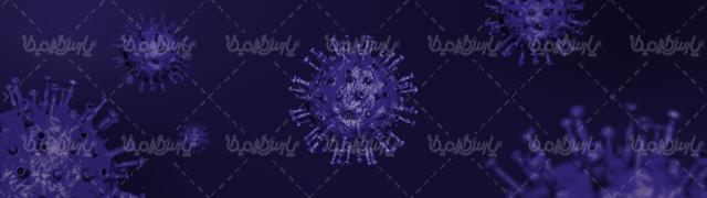 کرونا