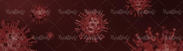 کرونا