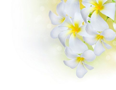 florist