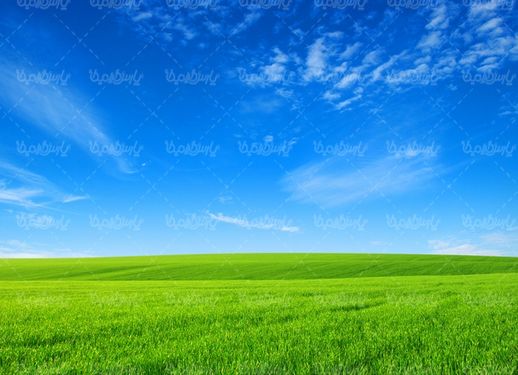 بهار
