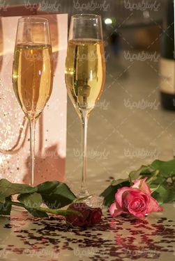 عکس با کیفیت گل رز