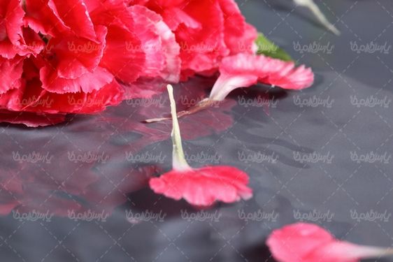 گل طبیعی