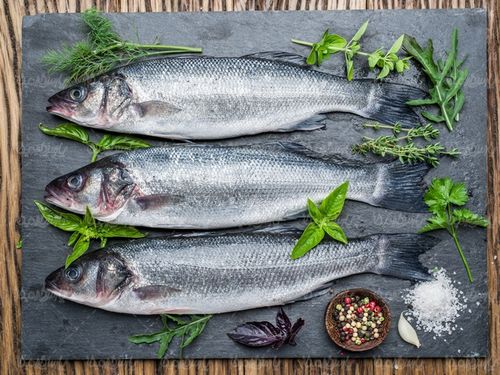 Fish