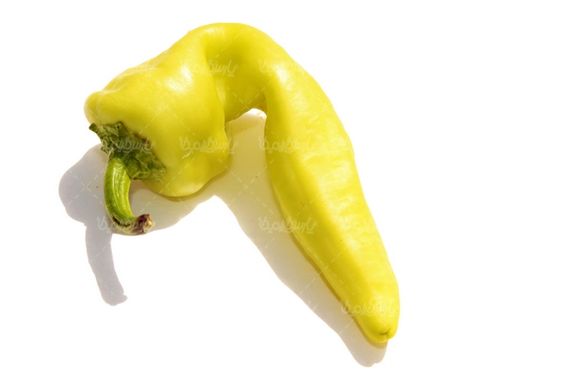Bell pepper