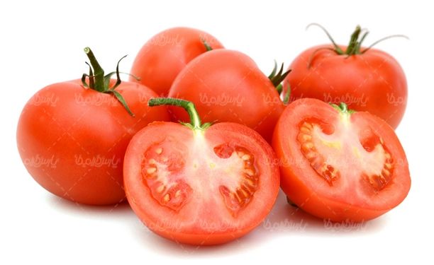 گوجه فرنگی
