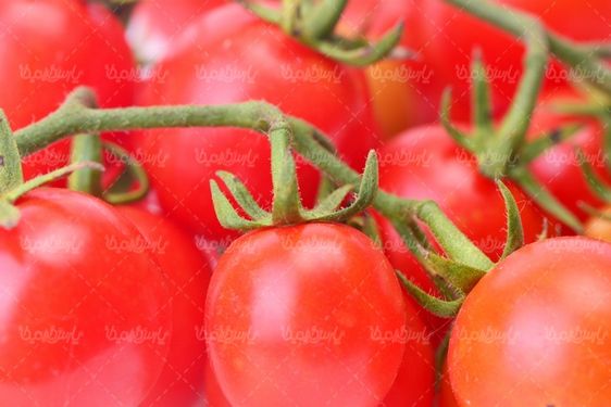 tomato