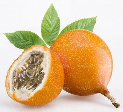 دانلود رایگان عکس میوه
