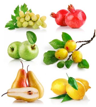 Fruit