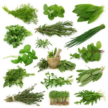 vegetables