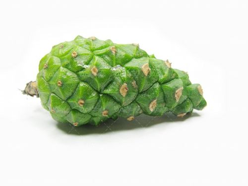 vegetables