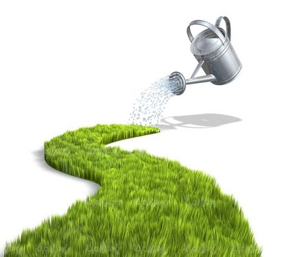 فضای سبز