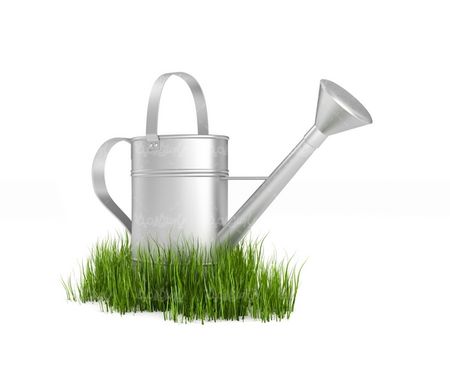 فضای سبز
